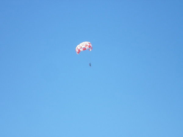 Орлов Андрей