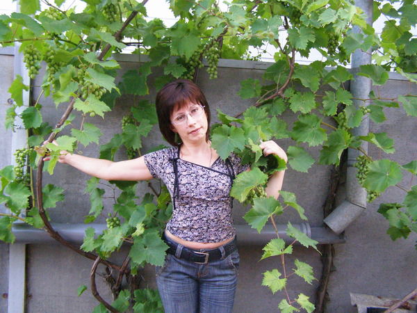 Юлия Рыбкина