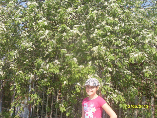 Алексей Князев