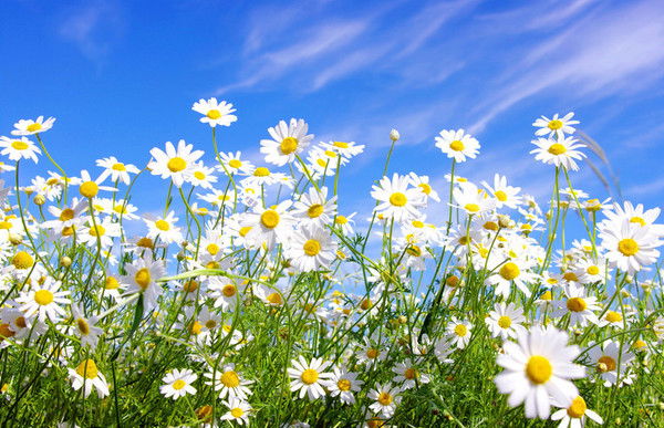 Любовь Грабар