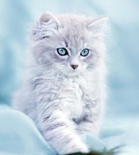 Анна Мердеева