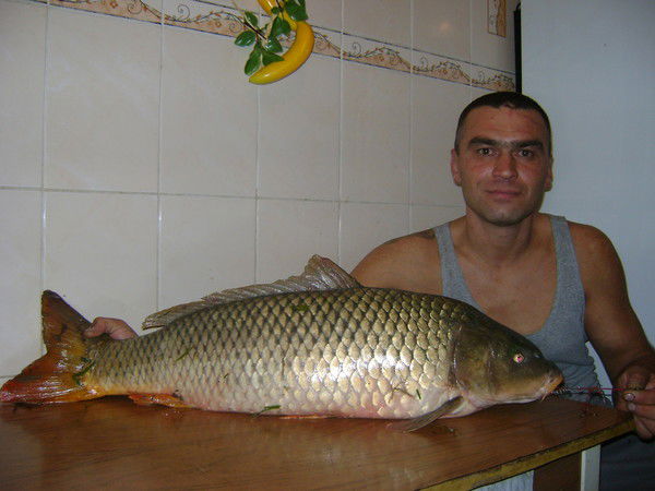 Серега Бельцкий