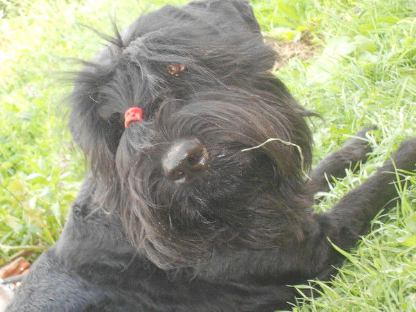 Ната Рожихина