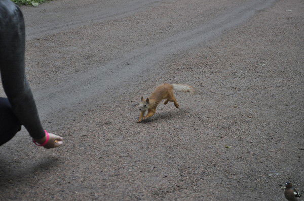Сергей Пучков