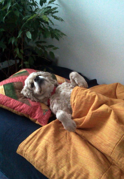 Василий Селезнев