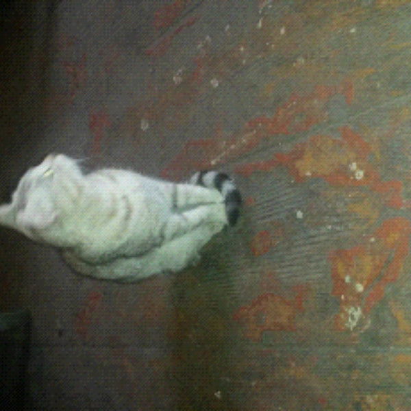 Леонид Горбунов