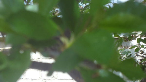 Жанна Жанна