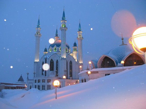 Эльмира Эльмира