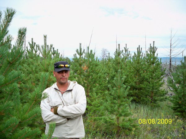 Дмитрий Прокопьев