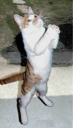 Наташа Белова