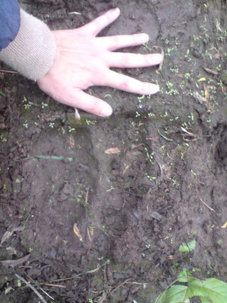 Виктор Кудрявцев