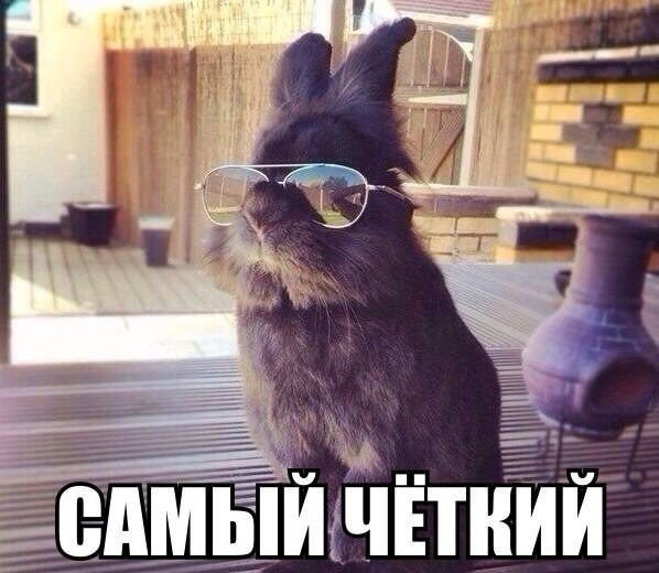 I Will Be Back, Baby.