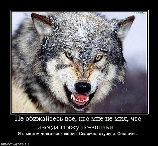 Валерий Быков