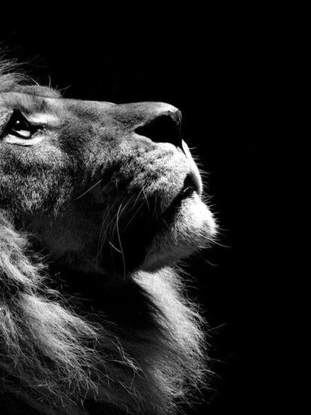 Даурен Жунусханов