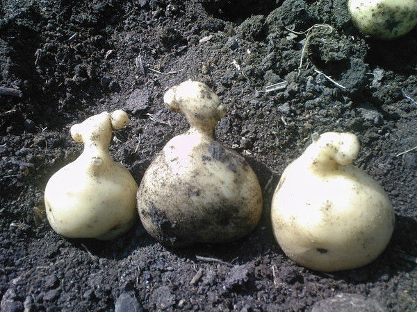 Дмитрий Матвеев