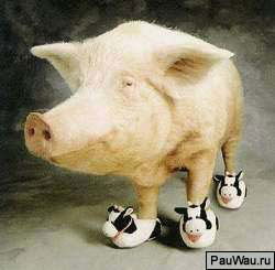 Пигги ...........