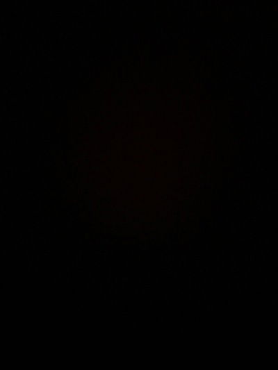 Дима Оганянц