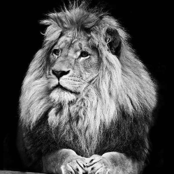 Ильгиз Давлетшин