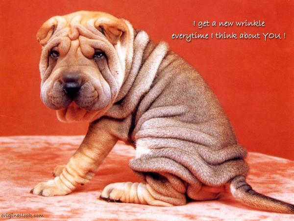 Нина Аксененко