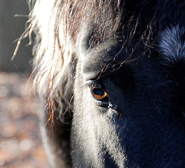 Юрий Кузнецов