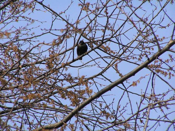 Евгения Колтышева