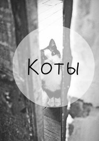 Яна Маслова