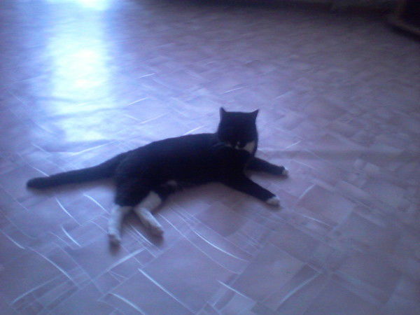 Надя Старовойтова