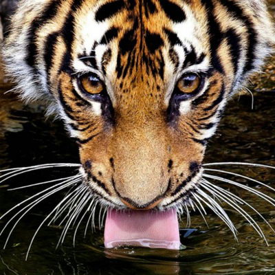 Марина Барабан