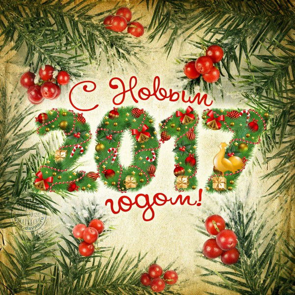 Елена Карнаухова