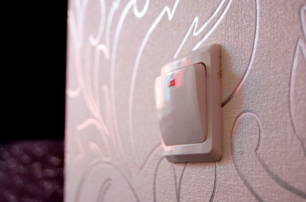 Александр Рогулин