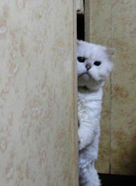 Колганова Инна