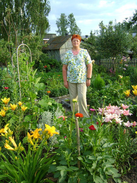 Наталья Шорникова