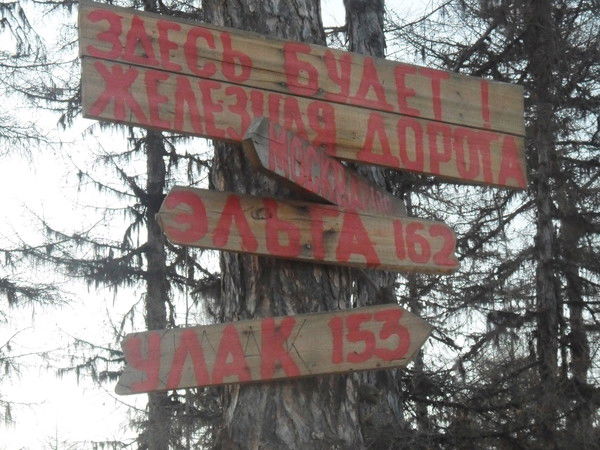 Илья Дильман