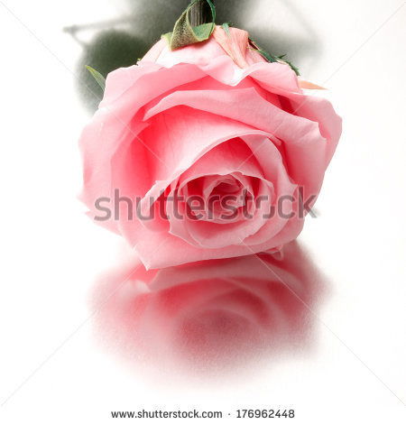 Светлана Протасова