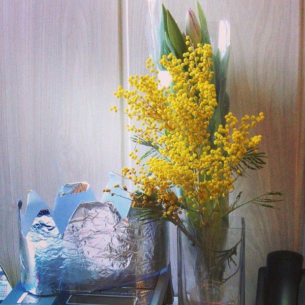 Екатерина Мидон