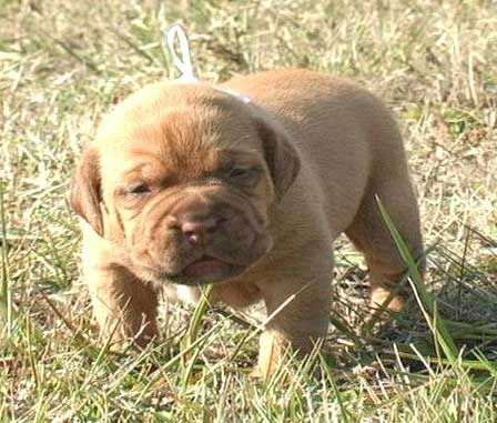 Наталия Лашманова