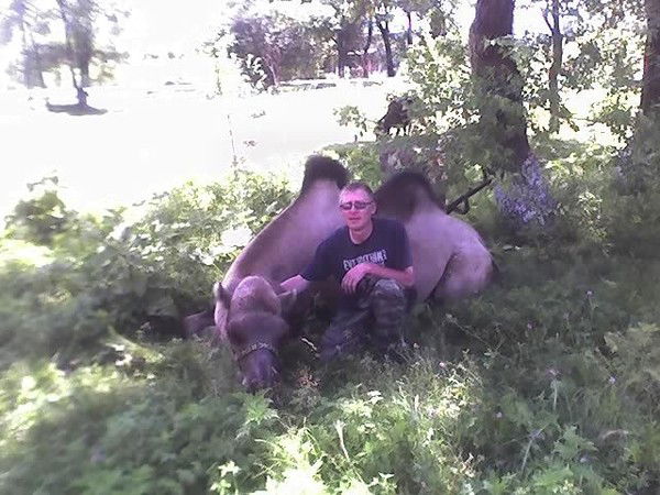 Виталий Гребенюк