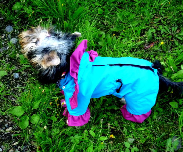 Ирина Бартенева