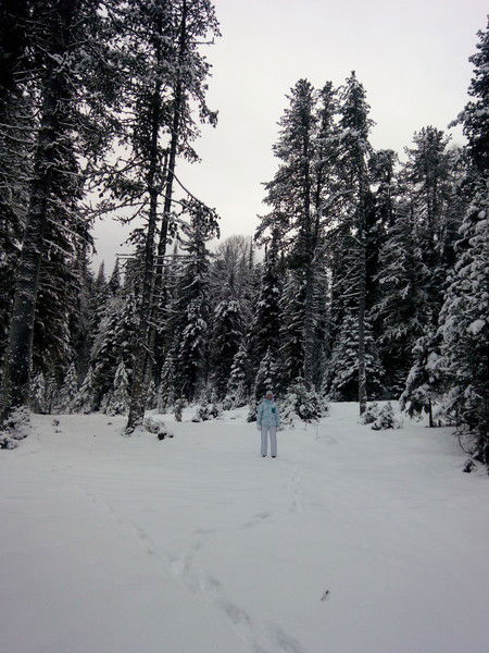 Елена Кибаль