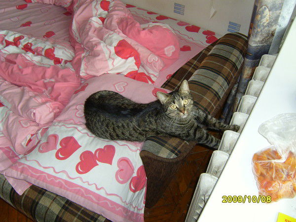 Анна Клянчина