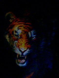 Роман Богачёв