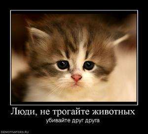 Михаил Шекоян