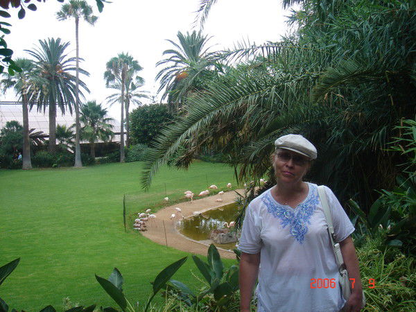 Елена Сошникова