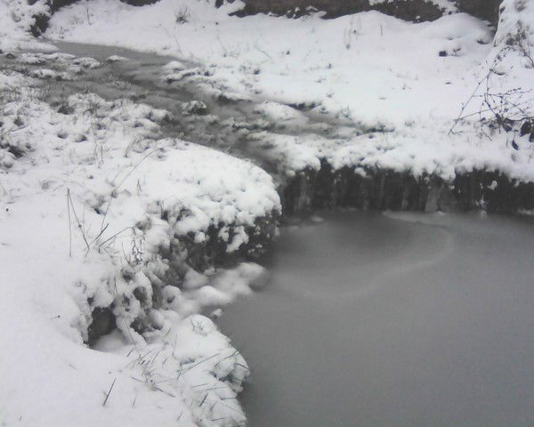 Ильнар Шакуров