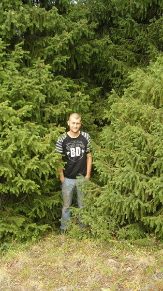 Сергей Аркатов