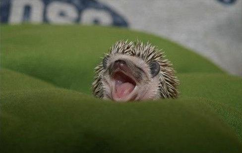 Оля Смирнова