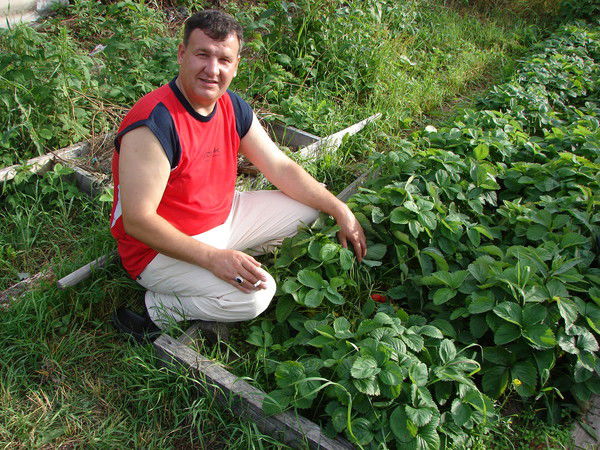 Сергей Гилек