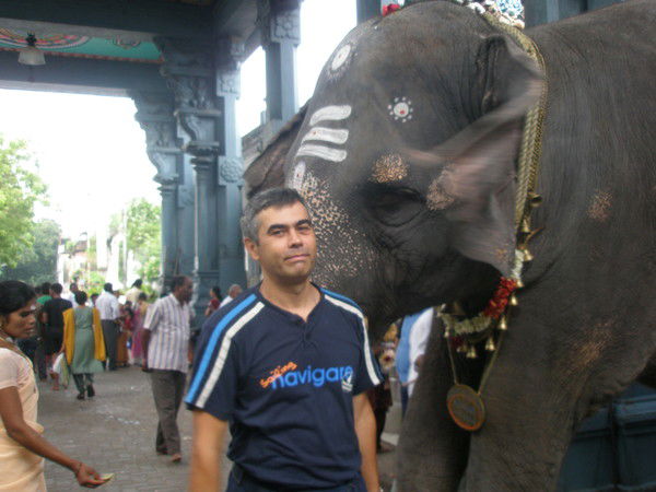 Дмитрий Скотаренко