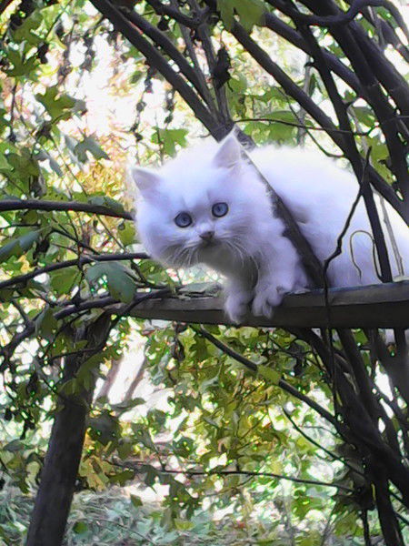 Надежда Шелепова