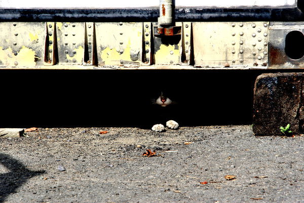 Евгений Владимирович